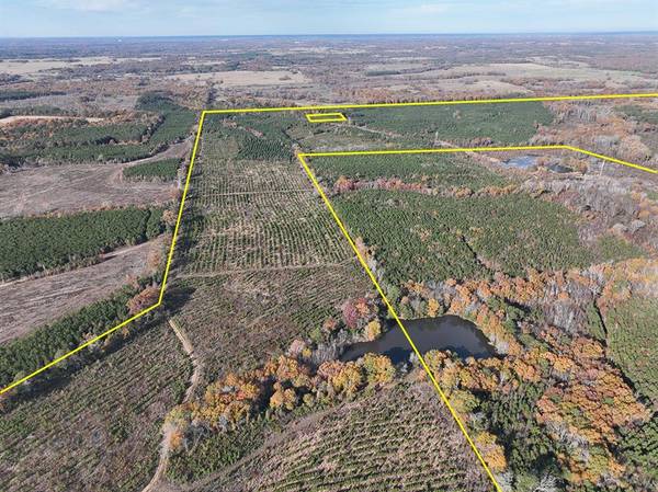 Daingerfield, TX 75638,0 CR 3201