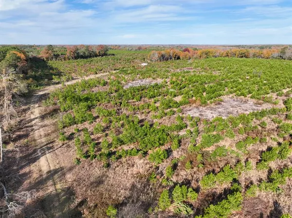 Daingerfield, TX 75638,0 CR 3201