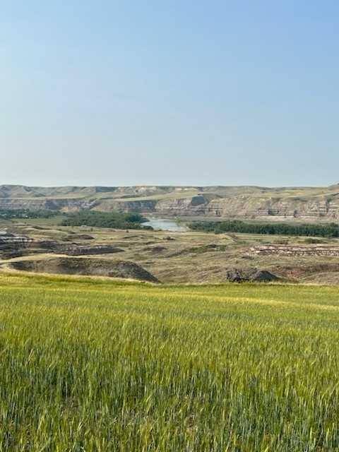 Drumheller, AB T0J 0Y0,N/A Raymond Hill Road