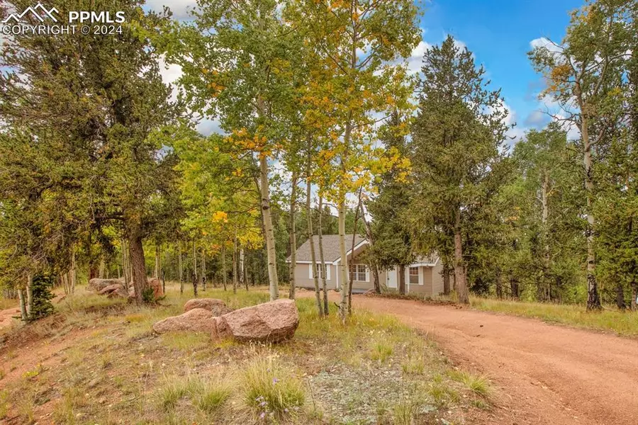 541 Brown Bear DR, Cripple Creek, CO 80813