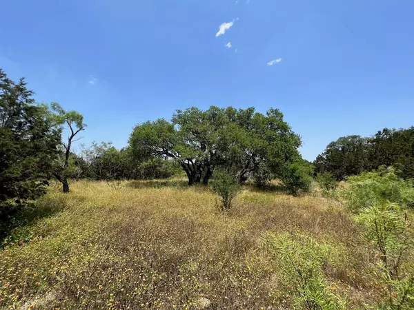 Evant, TX 76525,Lot 72 PR 4212