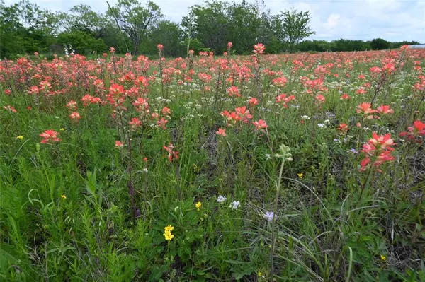 Maypearl, TX 76064,105 Hillridge Lane