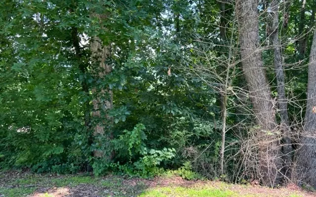 LOT 5 Chancey Drive, Hiawassee, GA 30546