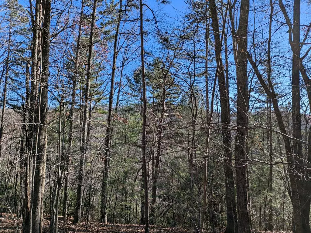 Murphy, NC 28906,Lot 26 Persimmon Road