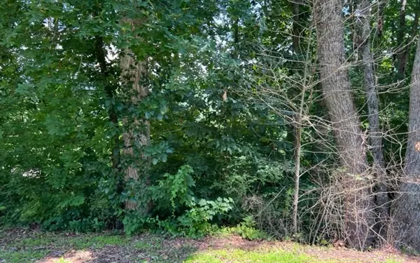 Hiawassee, GA 30546,LOT 5 Chancey Drive