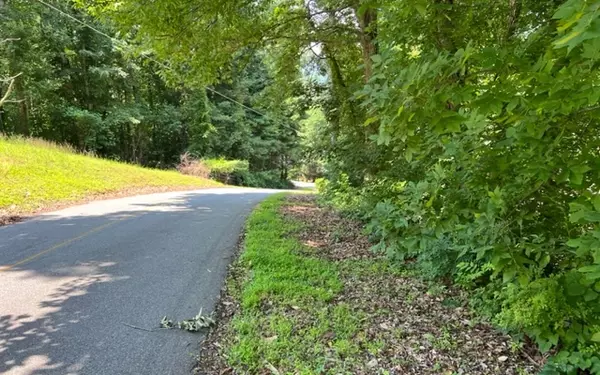 Hiawassee, GA 30546,LOT 5 Chancey Drive