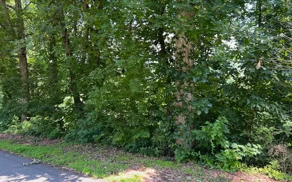 Hiawassee, GA 30546,LOT 5 Chancey Drive