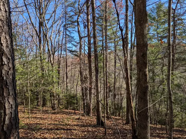 Murphy, NC 28906,Lot 26 Persimmon Road