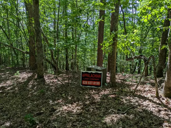 Murphy, NC 28906,Lot 26 Persimmon Road