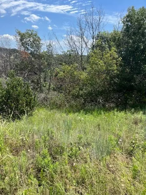 Bluff Dale, TX 76433,1015 Bluegill Ridge