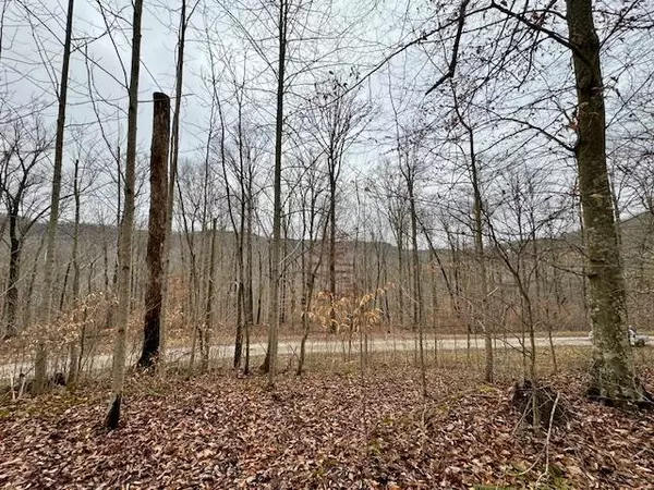 Lot 48 Tomahawk Rd., Jamestown, TN 38556