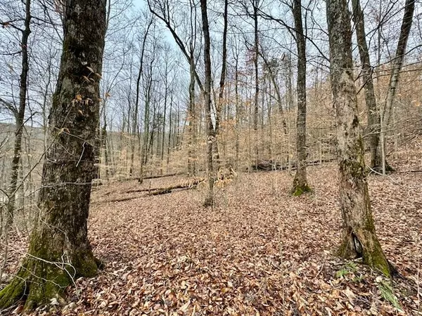 Jamestown, TN 38556,Lot 48 Tomahawk Rd.