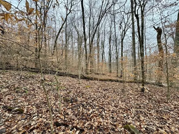 Jamestown, TN 38556,Lot 48 Tomahawk Rd.