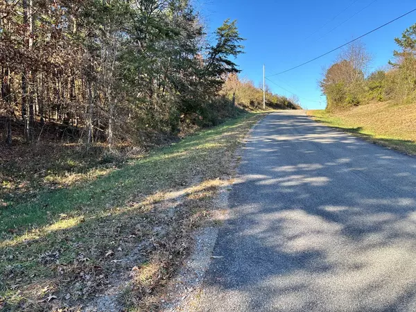 Jamestown, TN 38556,7 ACRES HOLT SPUR DRIVE