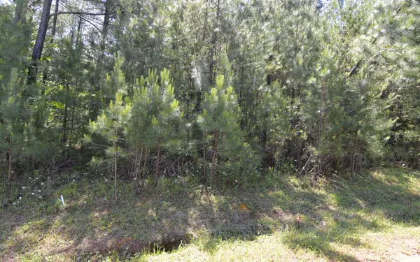 LOT14 Loftis Mountain, Blairsville, GA 30512