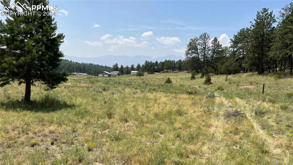 266 Good Hope DR, Westcliffe, CO 81252