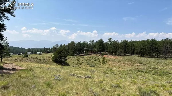 Westcliffe, CO 81252,266 Good Hope DR