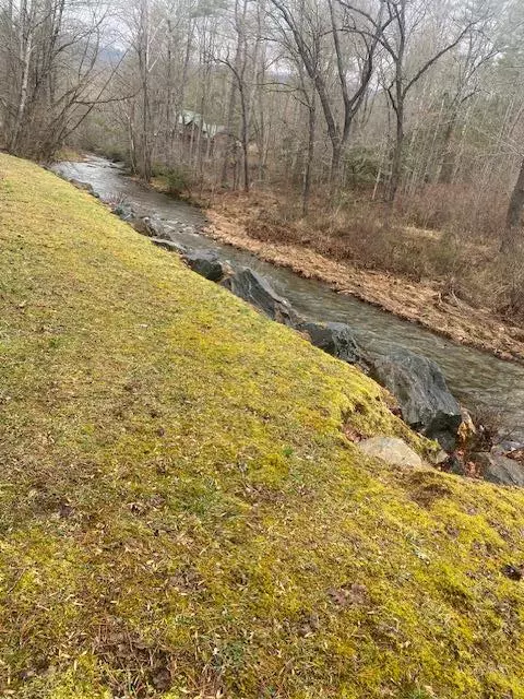 Hayesville, NC 28904,Lot 9 Bear Cove At Fires C