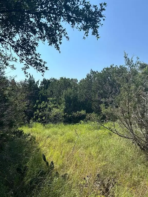 Whitney, TX 76692,1374 Spring Valley Trail