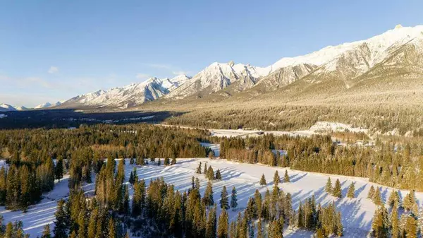 Canmore, AB T1W1R9,508 Larch PL