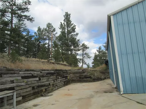 Florissant, CO 80816,17831 County Road 1