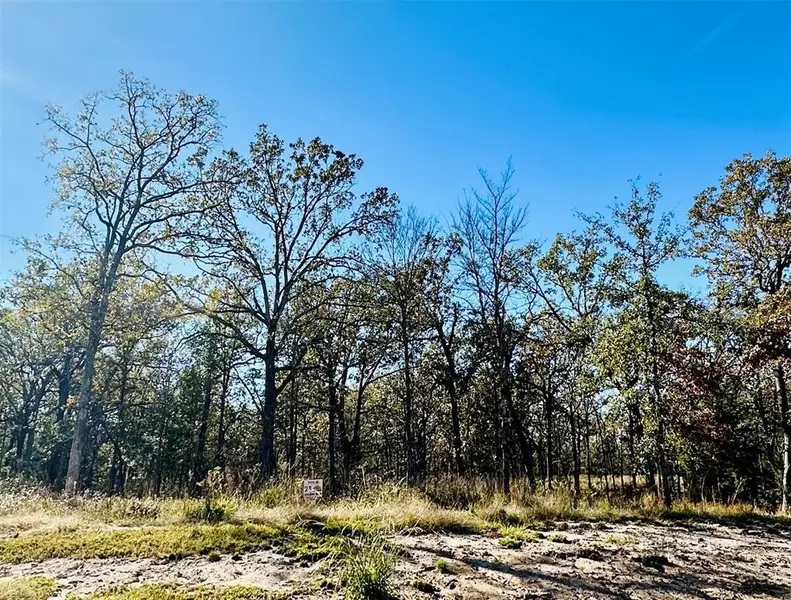 Lot 23 Private Road, Quitman, TX 75783