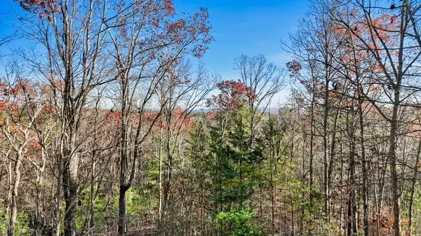 Ellijay, GA 30540,415 Morton Drive