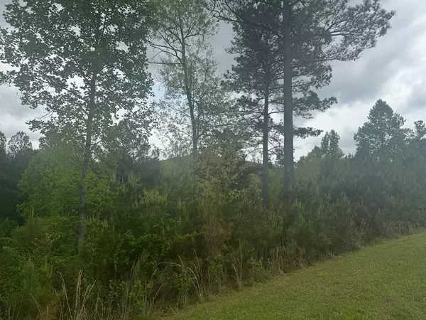 Blairsville, GA 30512,Lot 231 Ridge Point Way