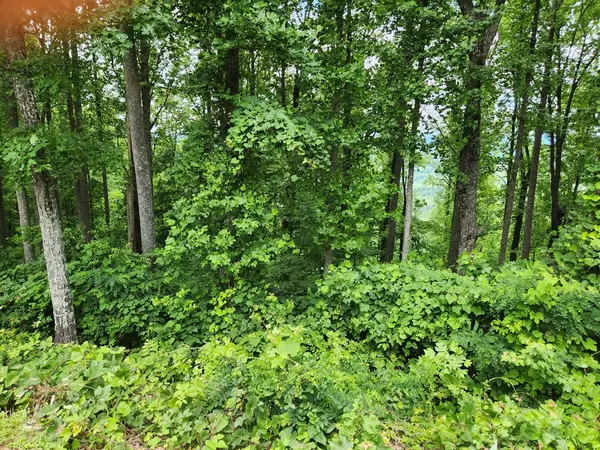 Young Harris, GA 30582,Lot 18 Rocky Knob Estates