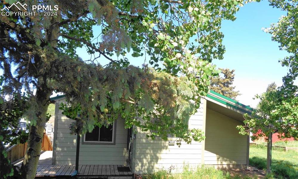 321 Main ST, Cripple Creek, CO 80813