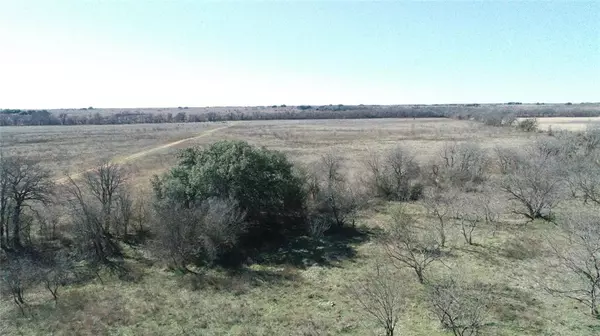 Stephenville, TX 76401,TBD County Road 223