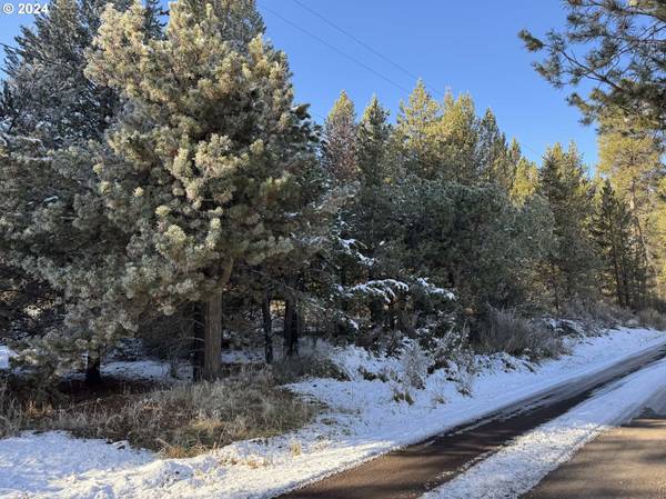 Brook Trout LN #3, Chiloquin, OR 97624