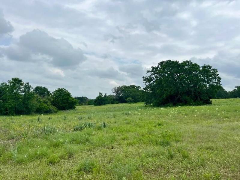 Lot 14 Arlow Rd, Poolville, TX 76487