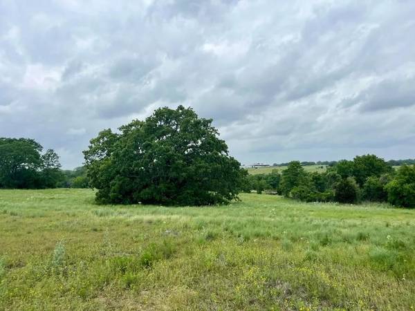 Poolville, TX 76487,Lot 14 Arlow Rd