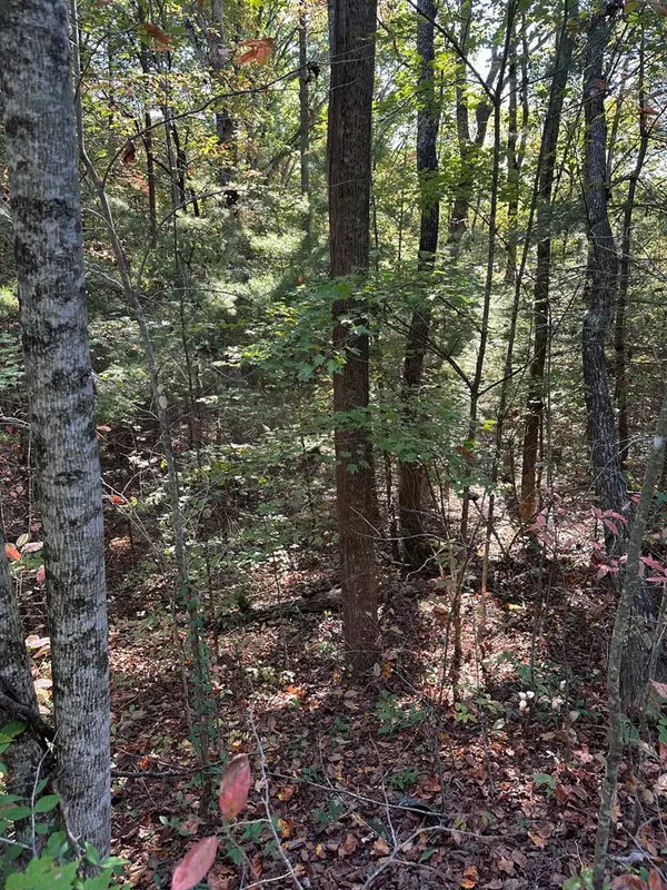 Ellijay, GA 30536,Lot 3 Marjorie Ave