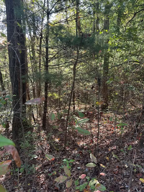 Ellijay, GA 30536,Lot 3 Marjorie Ave