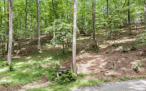 Ellijay, GA 30536,2AC Andes Ridge Lot 288