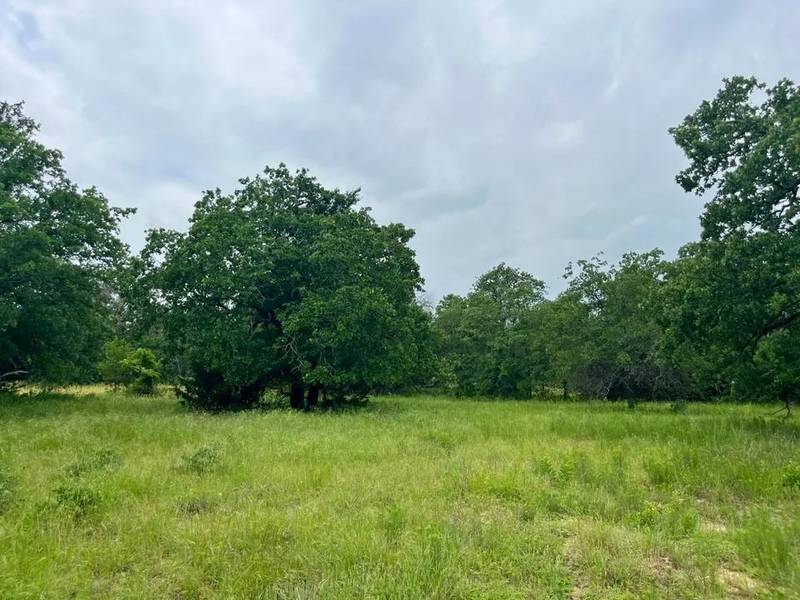 Lot 29 Galway Rd, Poolville, TX 76487