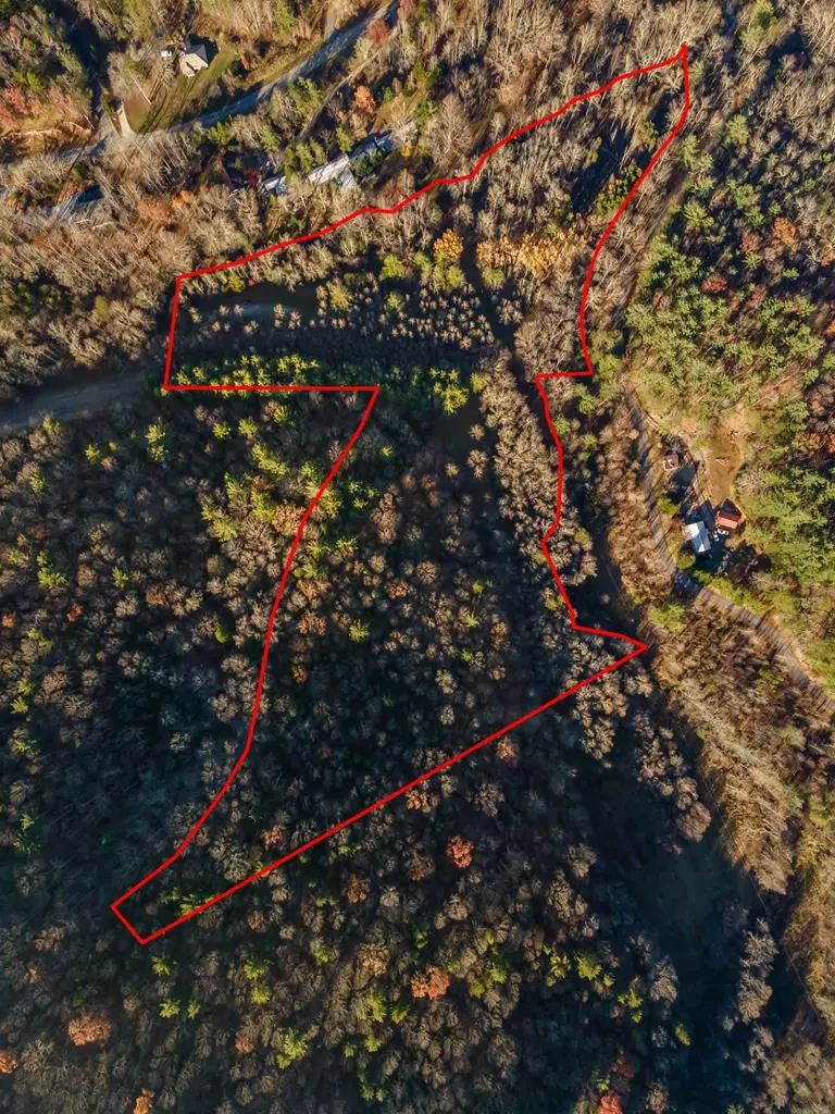 Blairsville, GA 30512,17 Acres Mulky Branch Lane