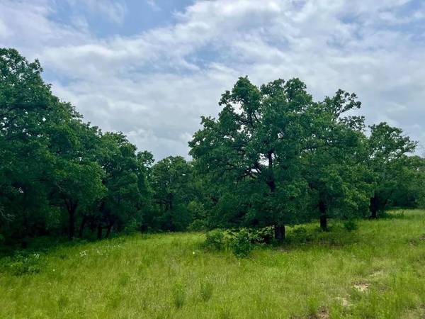 Lot 28 Kilkenny Rd, Poolville, TX 76487