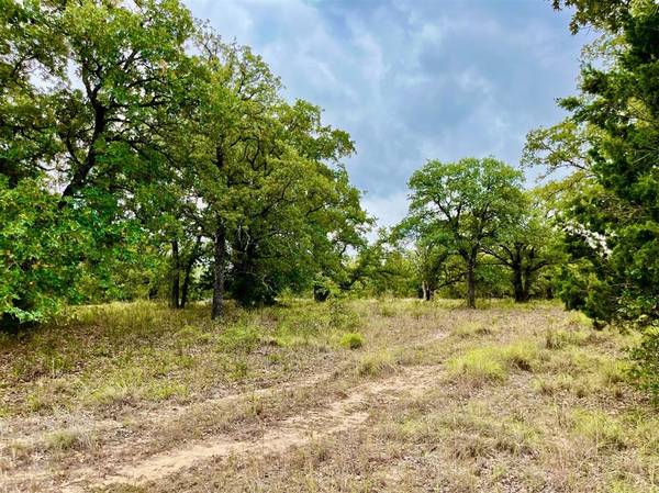 Poolville, TX 76487,Lot 28 Kilkenny Rd