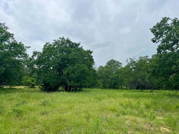 Lot 29 Galway Rd, Poolville, TX 76487