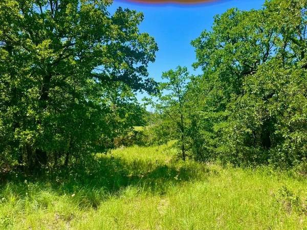 Lot 34 Galway Rd, Poolville, TX 76487