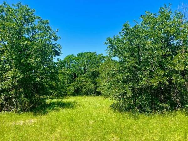 Poolville, TX 76487,Lot 34 Galway Rd