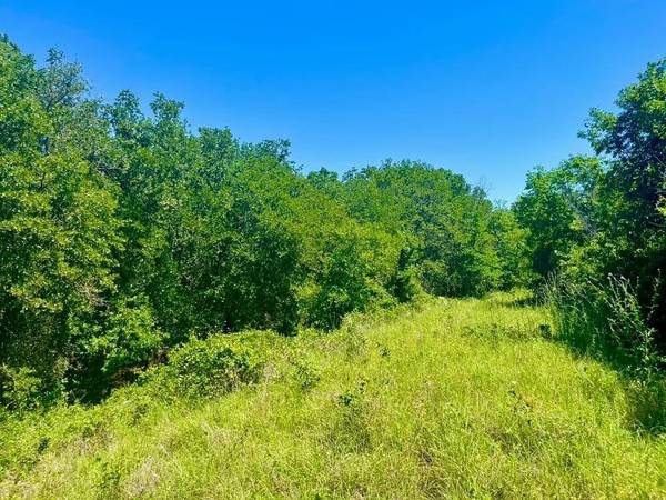 Lot 35 Galway Rd, Poolville, TX 76487