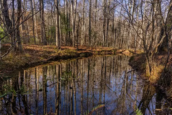 Blairsville, GA 30512,17 Acres Mulky Branch Lane