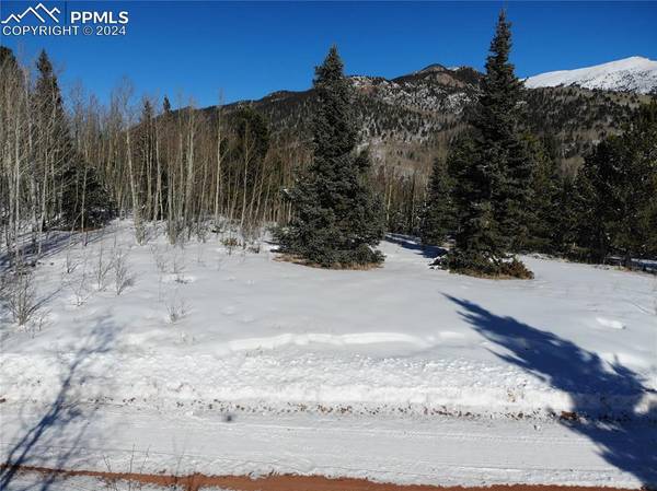 12775 S Highway 67, Cripple Creek, CO 80813