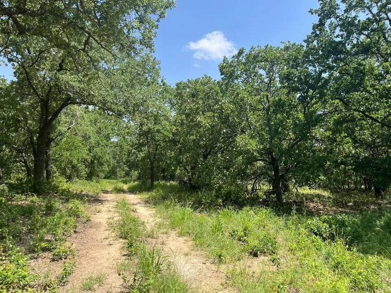 Lot 43 Antrim Ct, Poolville, TX 76487