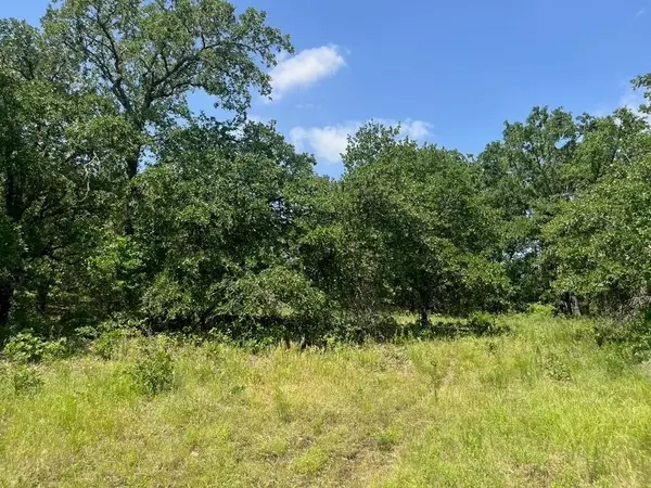 Poolville, TX 76487,Lot 43 Antrim Ct