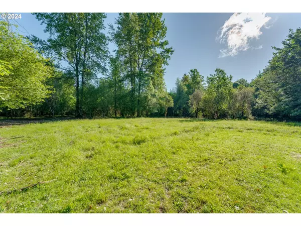 Brush Prairie, WA 98606,0 NE 183 ST